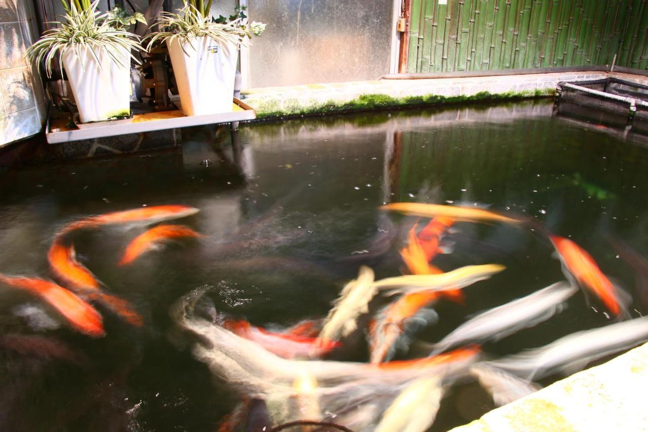 Okui Ryokan 고토 외부 사진